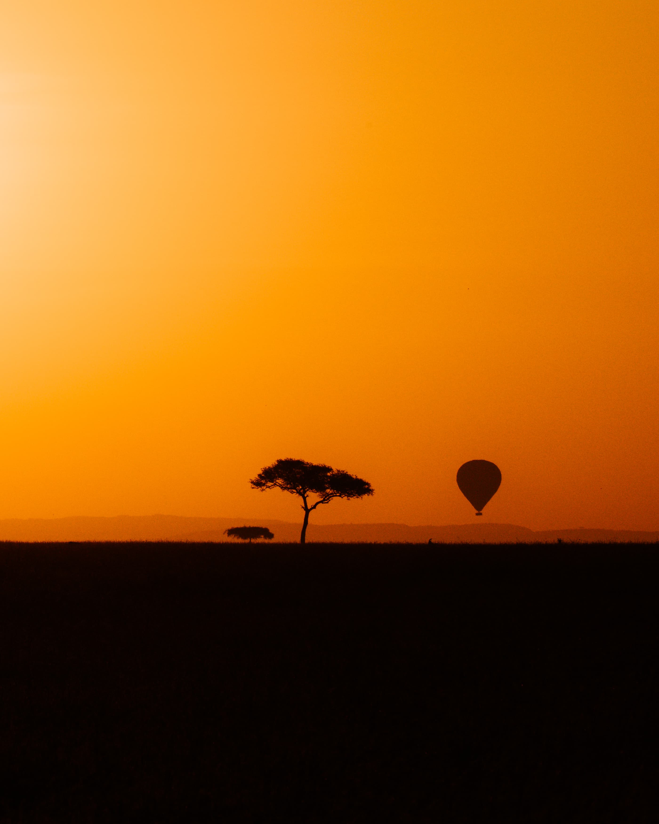 Why a Maasai Mara Safari Is the Ultimate Wildlife Adventure