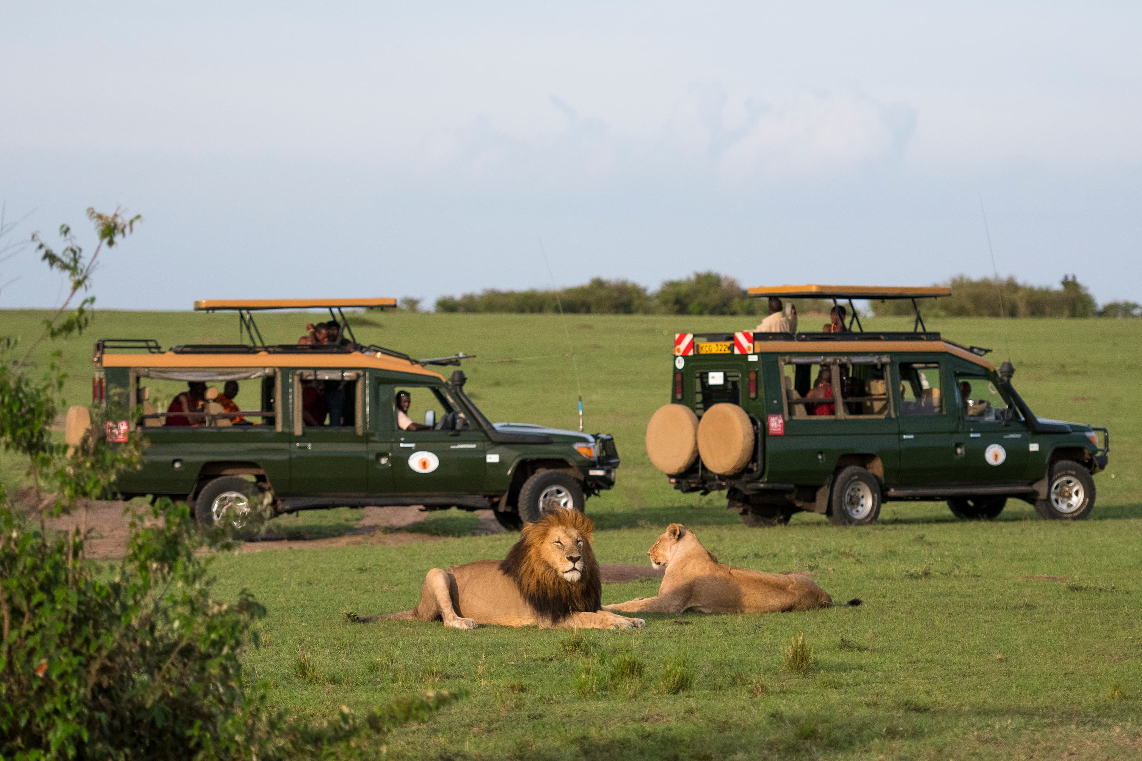  Nairobi, Samburu, Mara, Tsavo.