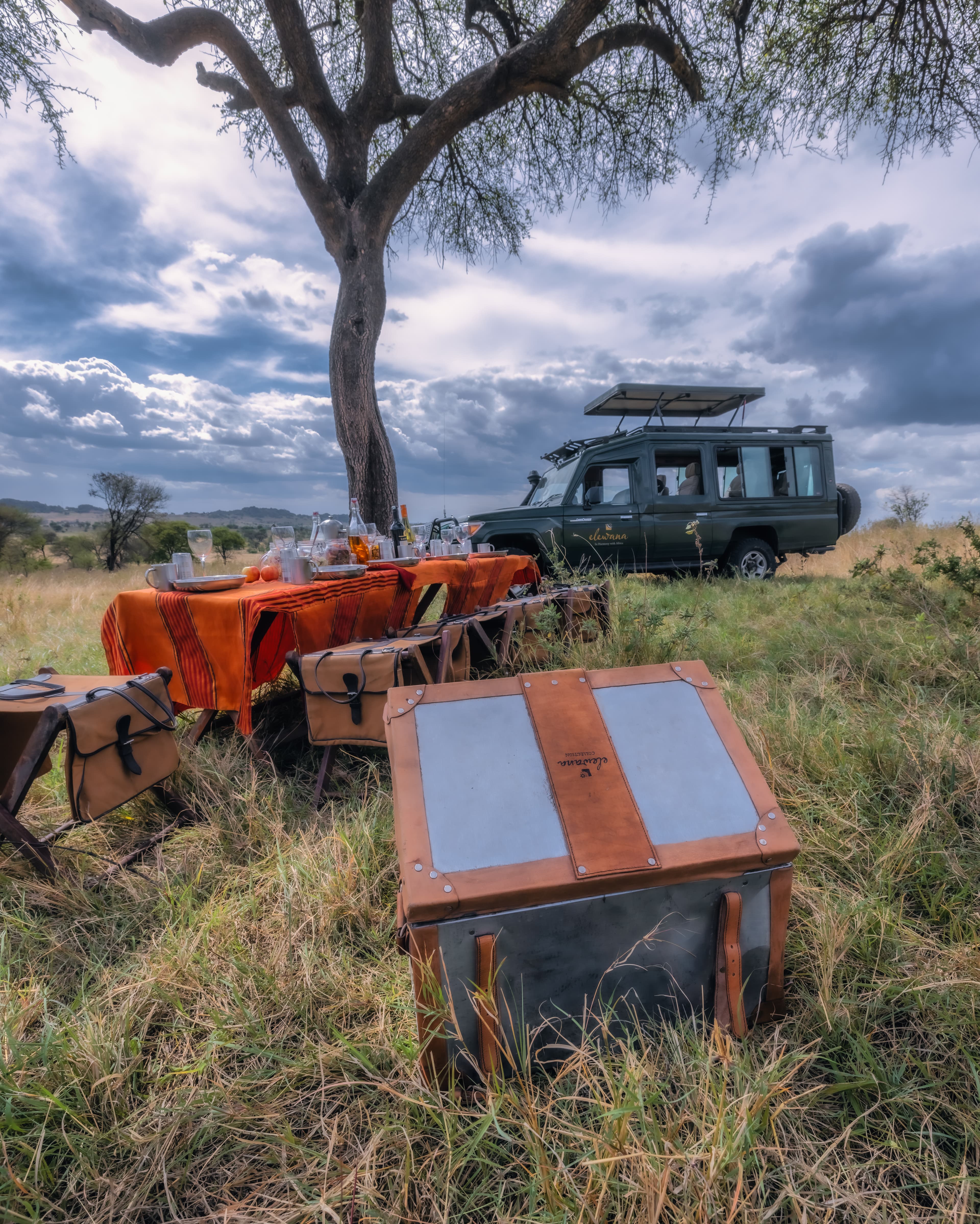 Serengeti Migration Camp