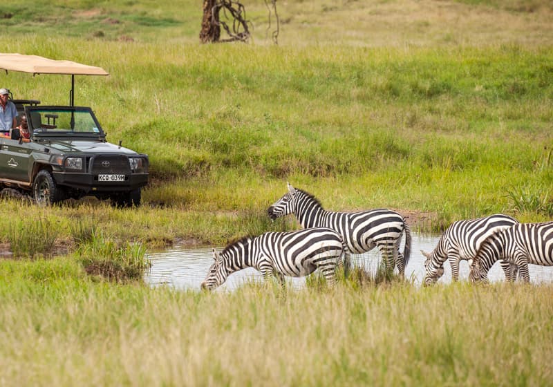 Urban to Wild: Nairobi, Lewa, Mara