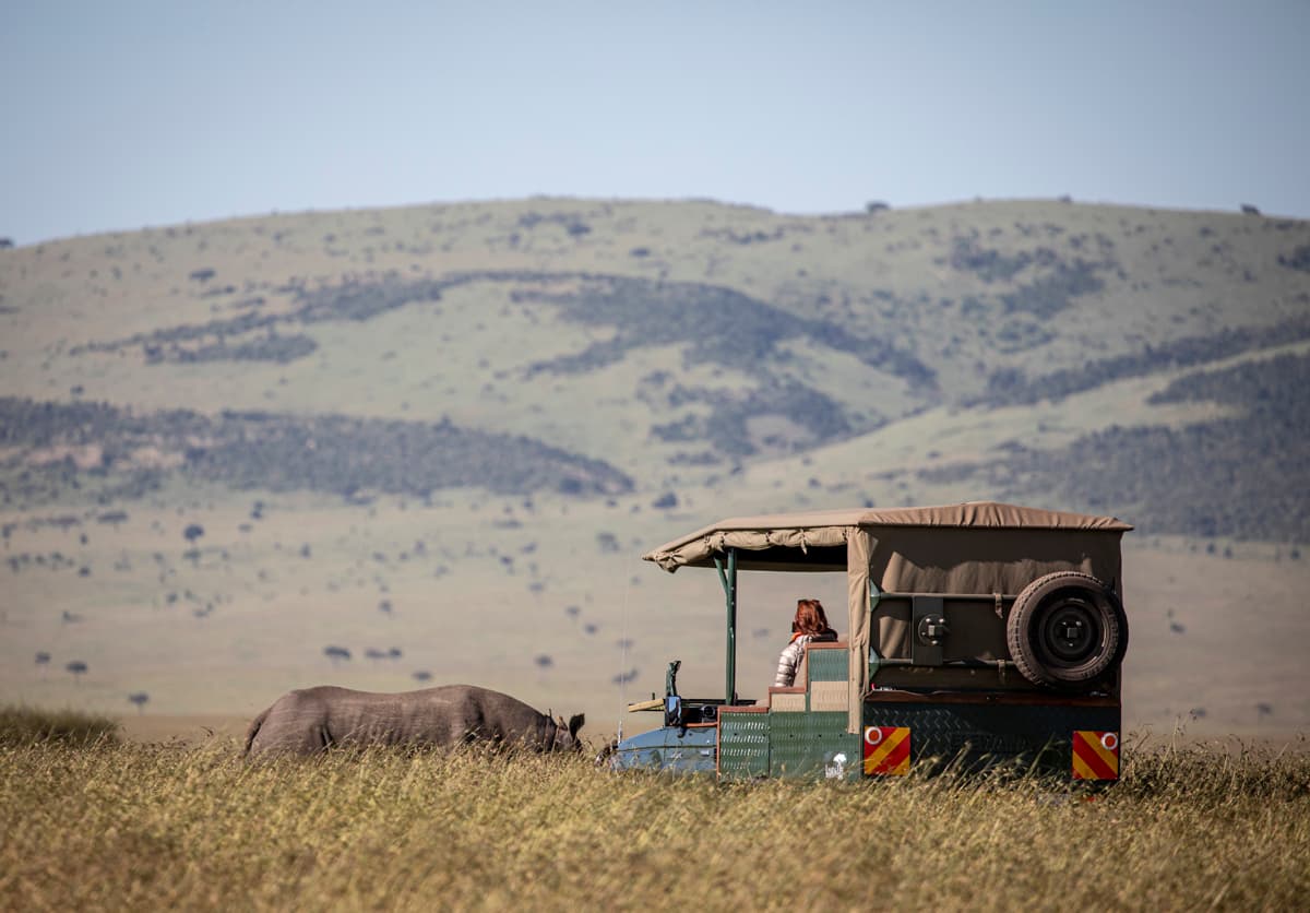 Family Safari